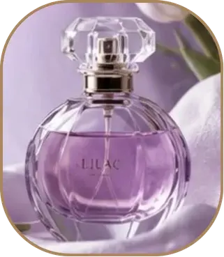 collection-img